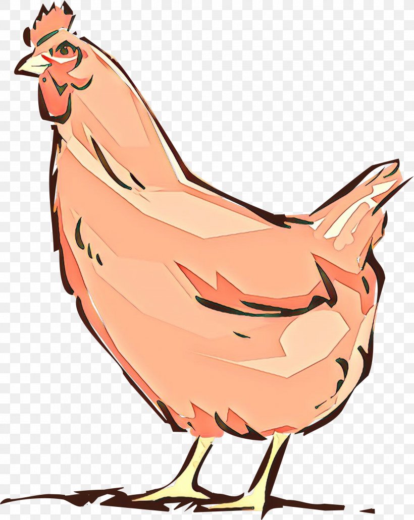 Chicken Rooster Clip Art Bird Cartoon, PNG, 2114x2658px, Cartoon, Beak, Bird, Chicken, Livestock Download Free