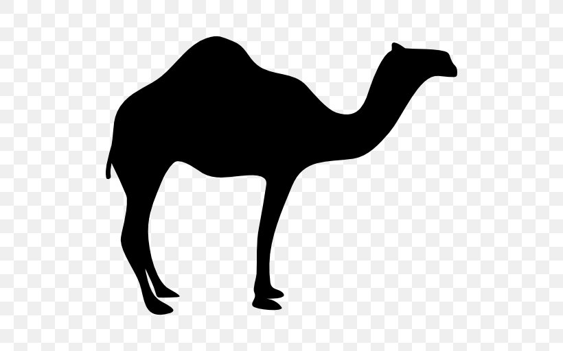 Dromedary Bactrian Camel Silhouette Clip Art, PNG, 512x512px, Dromedary, Arabian Camel, Bactrian Camel, Black And White, Camel Download Free