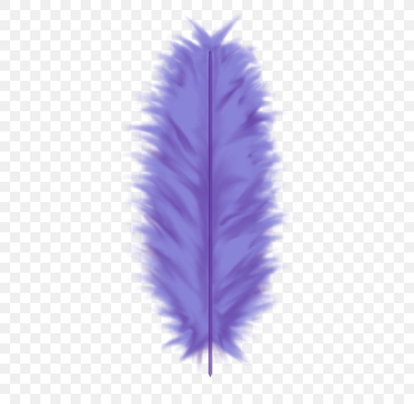 Feather PhotoScape Clip Art, PNG, 438x800px, Feather, Adobe Flash, Bird, Blog, Digital Image Download Free
