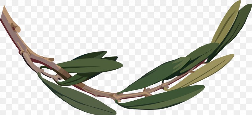 Olive Branch Clip Art, PNG, 2400x1100px, Olive Branch, Branch, Laurel Wreath, Leaf, Olive Download Free