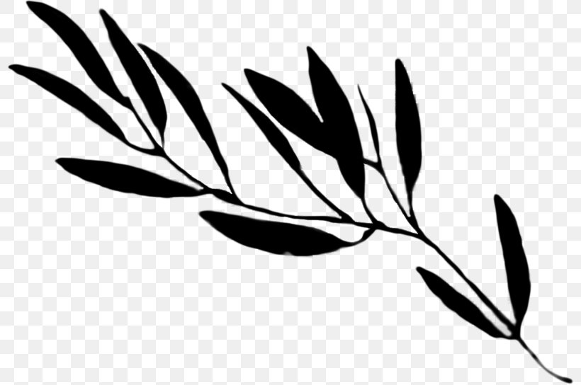 Plant Stem Clip Art Leaf Line Commodity, PNG, 800x544px, Plant Stem, Blackandwhite, Botany, Branch, Commodity Download Free