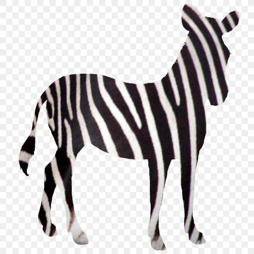 Quagga Horse Zebra Foal DeviantArt, PNG, 1024x1024px, Quagga, Animal Figure, Black And White, Deviantart, Foal Download Free