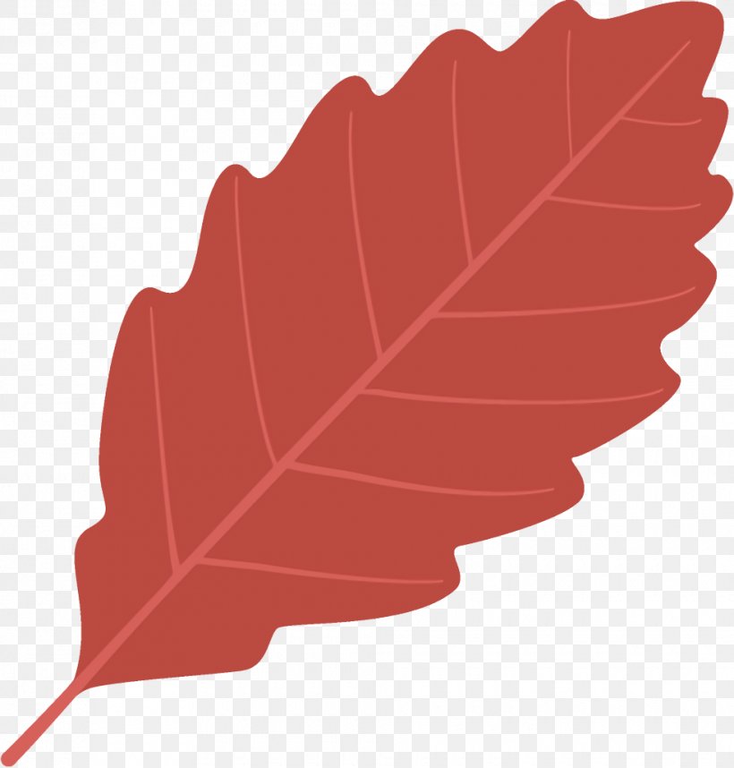 Autumn Leaf Fallen Leaf Dead Leaf, PNG, 980x1026px, Autumn Leaf, Dead Leaf, Deciduous, Fallen Leaf, Flower Download Free
