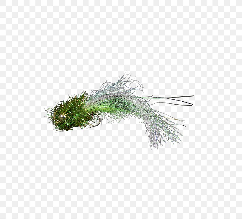 Olive Holly Flies Tree Yellow Chartreuse, PNG, 555x741px, Olive, Brand, Brown Trout, Chartreuse, Fly Download Free