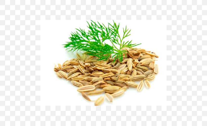 Dill Seed Fennel English Lavender Herb, PNG, 500x500px, Dill, Avena, Cardamom, Cereal, Cereal Germ Download Free