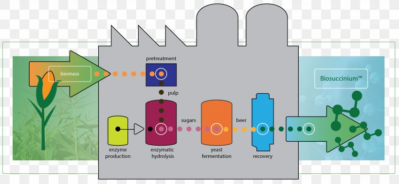 Technology Biorefinery Biobased Economy Production Industry, PNG, 2864x1326px, Technology, Bioamber, Biobased Economy, Biomass, Biorefinery Download Free