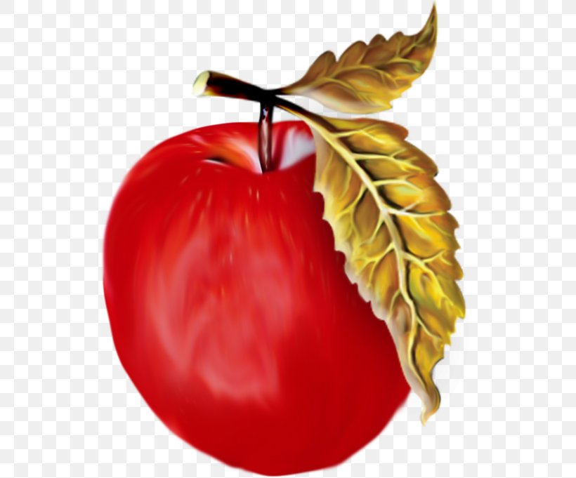 Apple Fruit Clip Art, PNG, 536x681px, Apple, Diet Food, Food, Fruit, Local Food Download Free