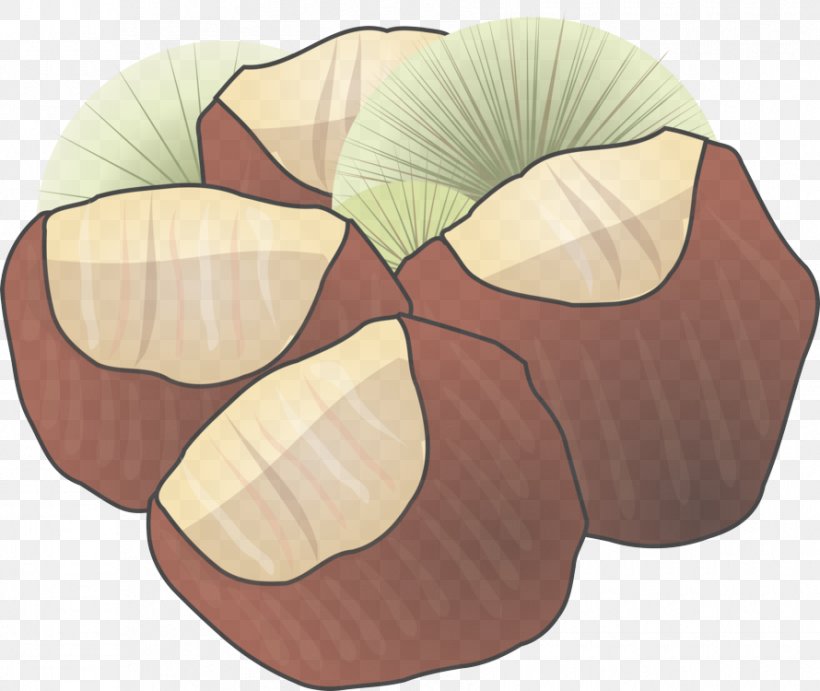 Clip Art Leaf Plant Petal, PNG, 890x750px, Leaf, Petal, Plant Download Free