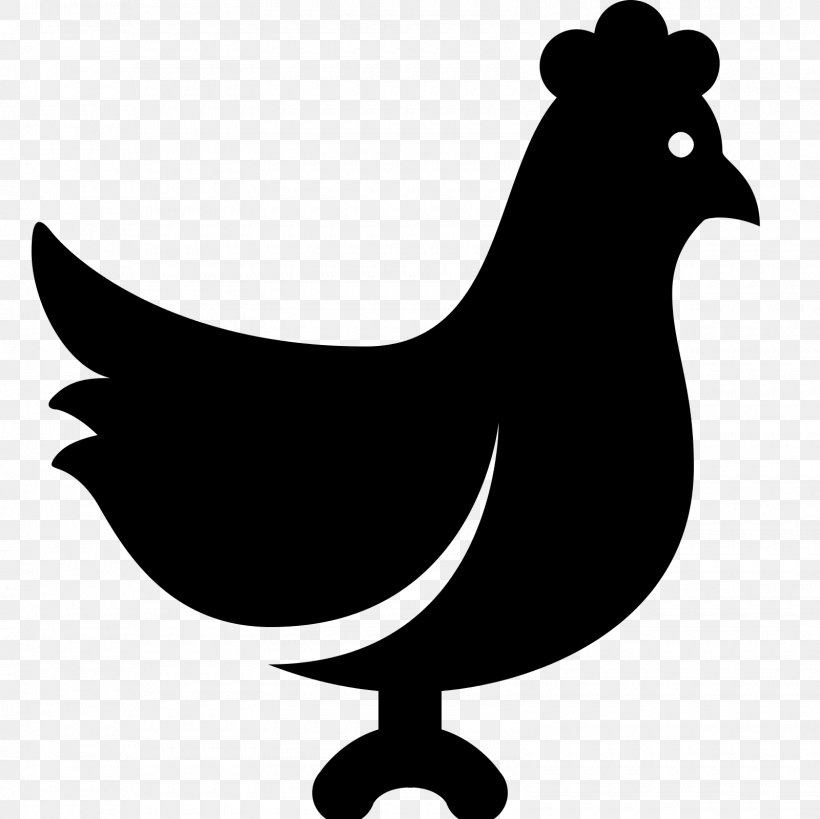 Fried Chicken Chicken Meat, PNG, 1600x1600px, Chicken, Beak, Bird, Black And White, Chicken Meat Download Free