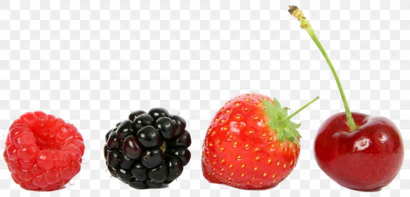 Fruit Salad Blackberry Raspberry, PNG, 1920x927px, Fruit Salad, Accessory Fruit, Apple, Berry, Black Raspberry Download Free