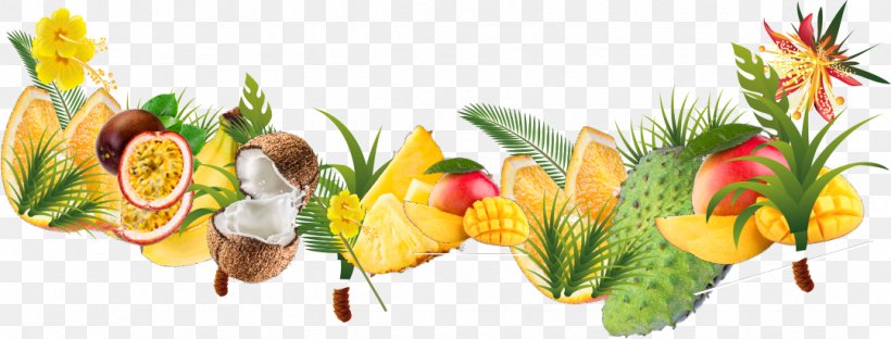 Tropical Fruit Tropical Rainforest Tropics, PNG, 1079x411px, Fruit, Canopy, Coconut, Floral Design, Flower Download Free