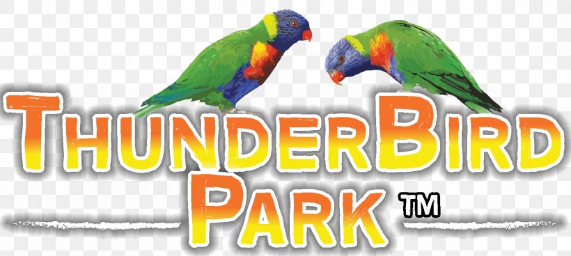 Macaw Bird Parakeet Beak, PNG, 1667x750px, Macaw, Advertising, Beak, Bird, Bird Supply Download Free