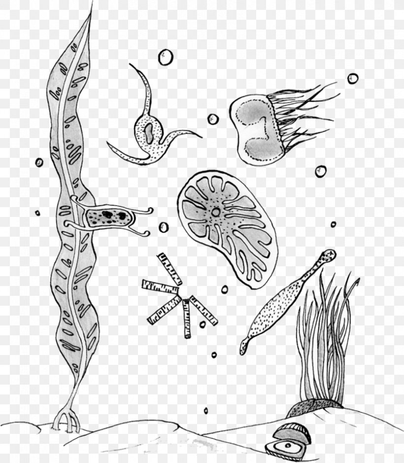 Plankton And Karen Coloring Book Phytoplankton Drawing, PNG, 835x957px, Watercolor, Cartoon, Flower, Frame, Heart Download Free