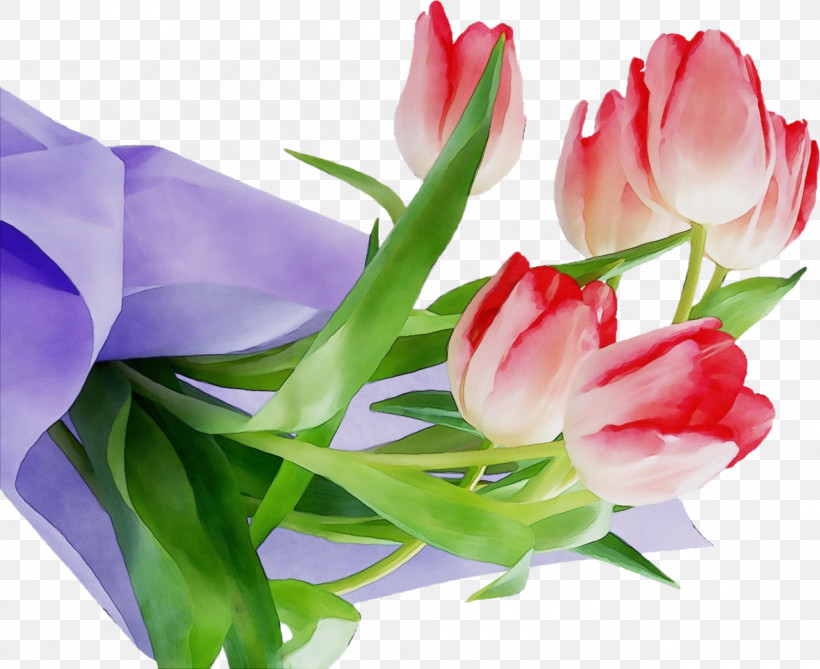 Rose, PNG, 1280x1045px, Watercolor, Anthurium, Bouquet, Bud, Cut Flowers Download Free