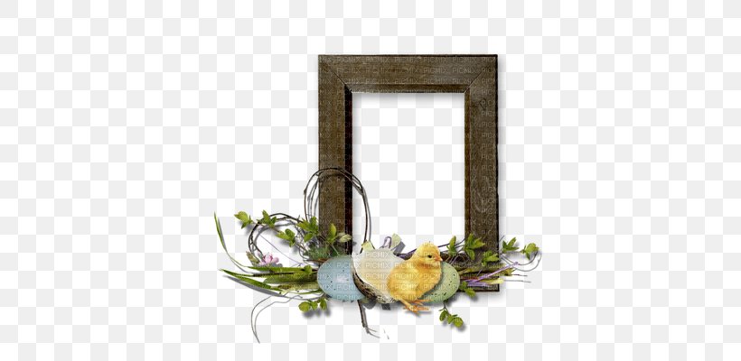 Picture Frames Photography Easter Clip Art, PNG, 400x400px, Picture Frames, Animal, Bird, Blog, Com Download Free