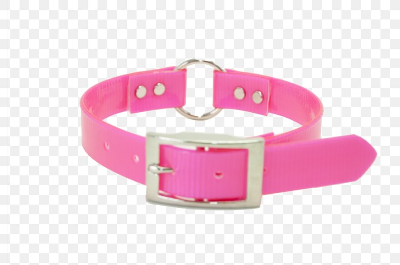 Dog Collar Watch Strap Bracelet, PNG, 2048x1360px, Dog, Bracelet, Clothing Accessories, Collar, Dog Collar Download Free