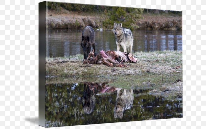 Dog Yellowstone National Park Gallery Wrap Pond, PNG, 650x513px, Dog, Art, Bird, Canvas, Dog Like Mammal Download Free