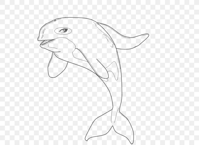 Dolphin White Line Art Sketch, PNG, 800x600px, Dolphin, Area, Art, Artwork, Beak Download Free