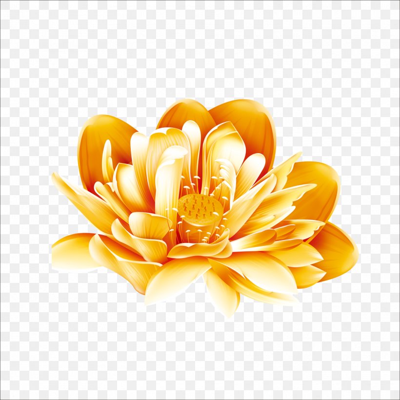 Gold Download, PNG, 1773x1773px, Gold, Array Data Structure, Color, Cut Flowers, Daisy Family Download Free