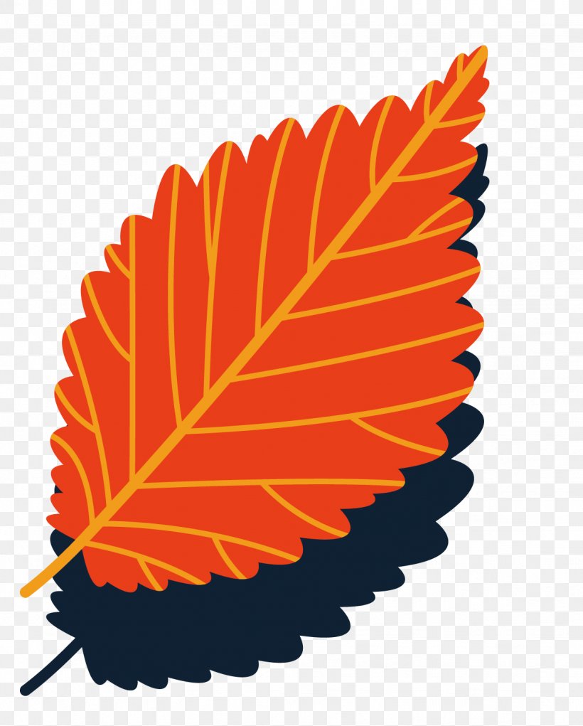 Leaf Element, PNG, 1232x1535px, Leaf, Autumn, Autumn Leaf Color, Element, Ellipse Download Free