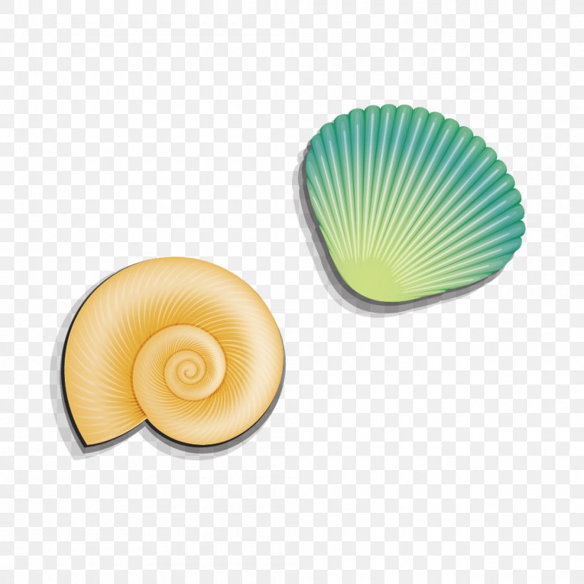 Seashell Sea Snail Clip Art, PNG, 1000x1000px, Seashell, Conch, Material, Nautilida, Sea Snail Download Free
