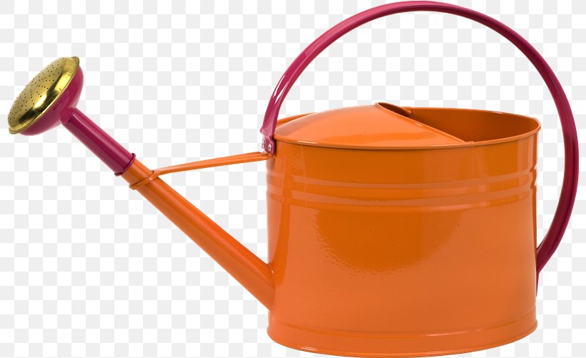 Watering Cans Gardening Lawn Mowers, PNG, 800x501px, Watering Cans, Garden, Garden Hoses, Garden Tool, Gardening Download Free