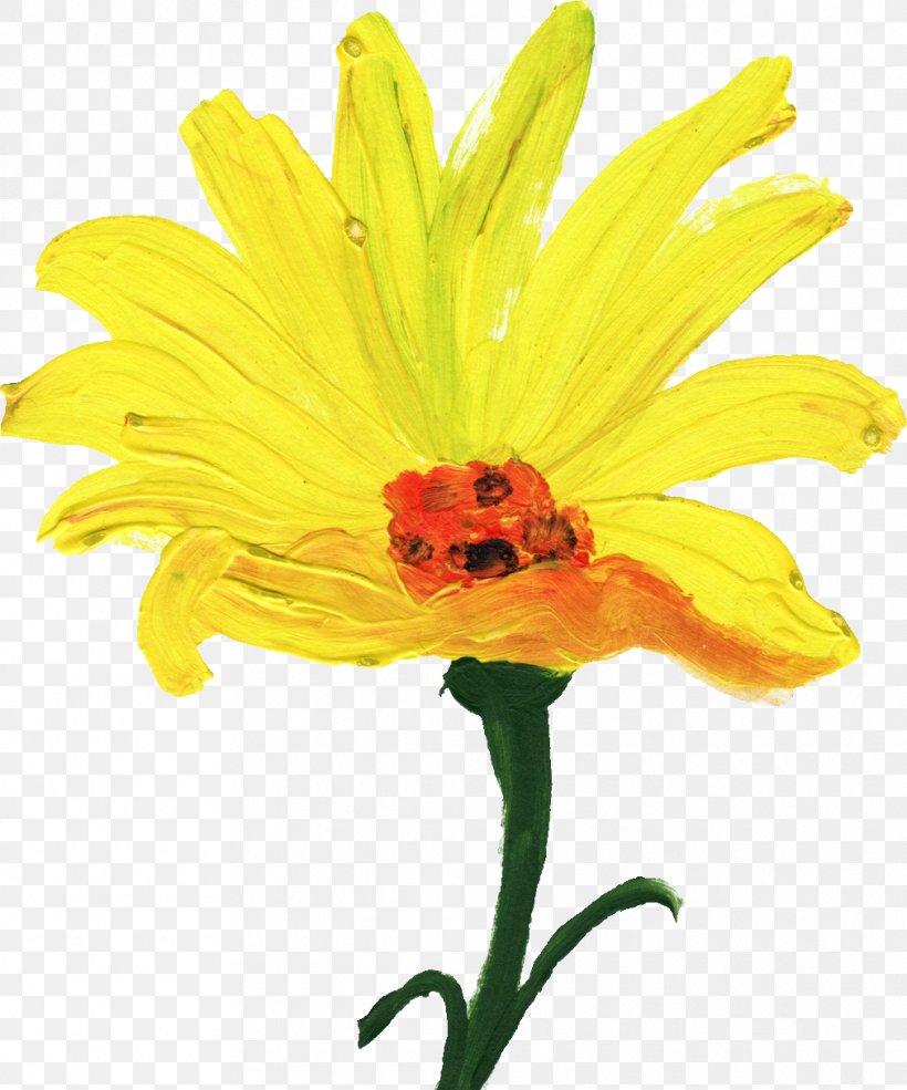 Cut Flowers Yellow Common Sunflower, PNG, 1011x1215px, Flower, Arumlily, Calendula, Common Daisy, Common Sunflower Download Free