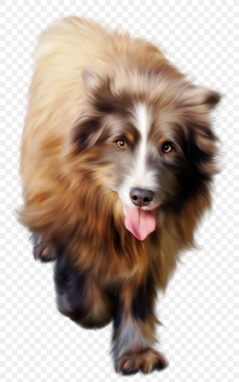Dog Breed Puppy Shetland Sheepdog Animal Clip Art, PNG, 800x1312px, Dog Breed, Animal, Breed, Cat, Companion Dog Download Free