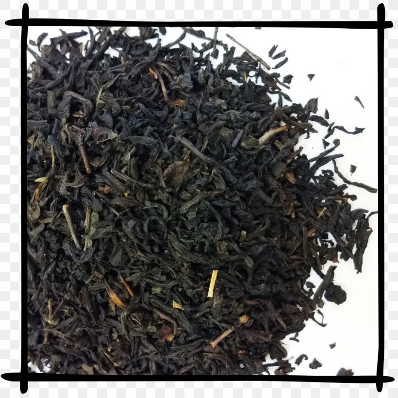 Lapsang Souchong Nilgiri Tea Darjeeling Tea Earl Grey Tea Keemun, PNG, 1000x1000px, Lapsang Souchong, Assam Tea, Bai Mudan, Bancha, Biluochun Download Free