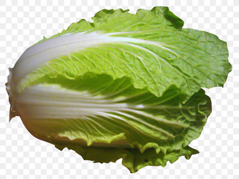 Napa Cabbage Romaine Lettuce Chinese Cabbage, PNG, 1183x887px, Cabbage, Chinese Cabbage, Collard Greens, Food, Komatsuna Download Free