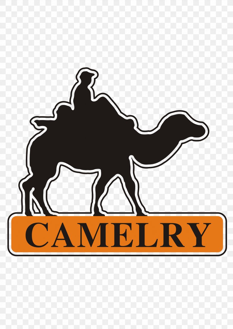 Camel Logo Clip Art, PNG, 2485x3499px, Camel, Brand, Camel Like Mammal, Computer Terminal, Cowboy Download Free