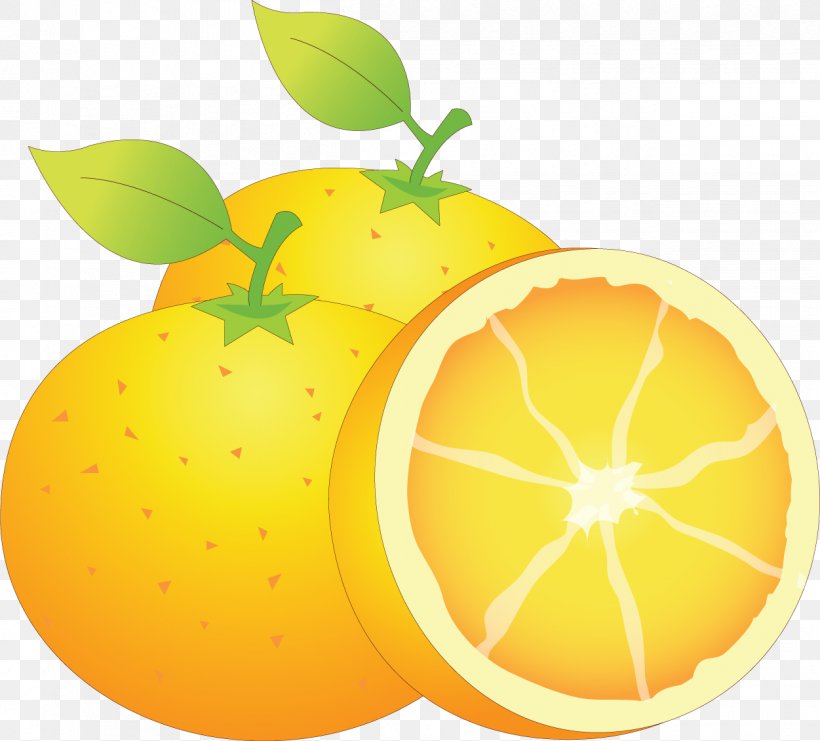 Lemon Mandarin Orange Food Citron Grapefruit, PNG, 1251x1131px, Lemon, Apple, Bitter Orange, Citric Acid, Citron Download Free