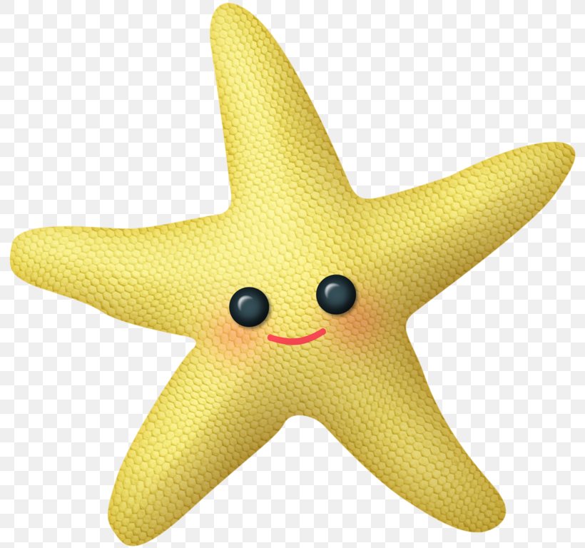 Starfish Sea Ocean Яндекс.Фотки Clip Art, PNG, 800x768px, Starfish, Animal, Animal Figure, Digital Image, Echinoderm Download Free