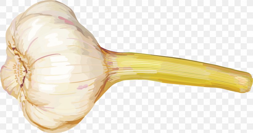 Vegetable Garlic Clip Art, PNG, 2899x1527px, Vegetable, Digital Image, Food, Garlic, Google Images Download Free