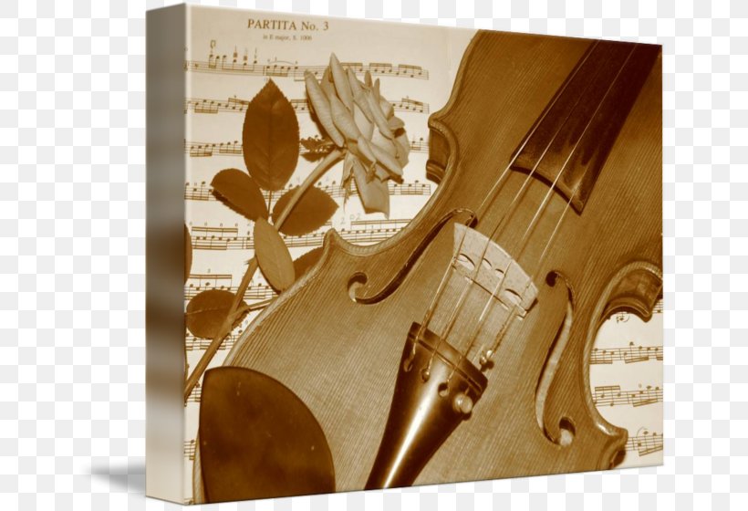 Violin Cello Varnish, PNG, 650x560px, Violin, Bowed String Instrument, Cello, Musical Instrument, String Instrument Download Free