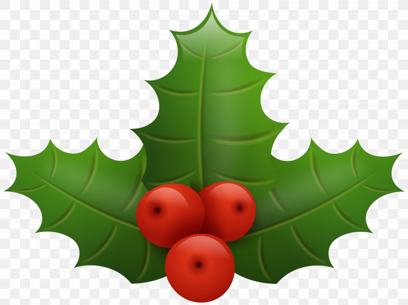 Christmas Clip Art, PNG, 8000x5984px, Christmas, Aquifoliaceae, Aquifoliales, Art, Christmas Ornament Download Free