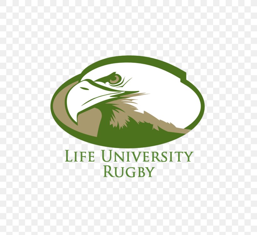 Life Running Eagles University Of Portland College University Of Massachusetts Boston, PNG, 750x750px, Life Running Eagles, Brand, College, Collegiate University, Education Download Free