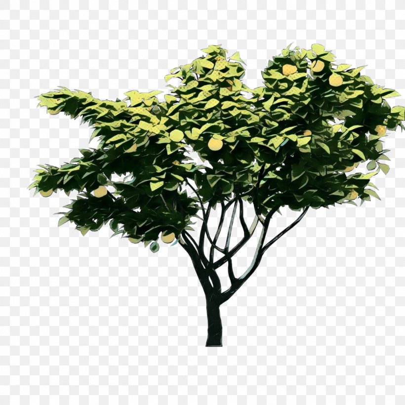 Oak Tree Leaf, PNG, 1024x1024px, Tree, Branch, Flower, Grass, Leaf Download Free