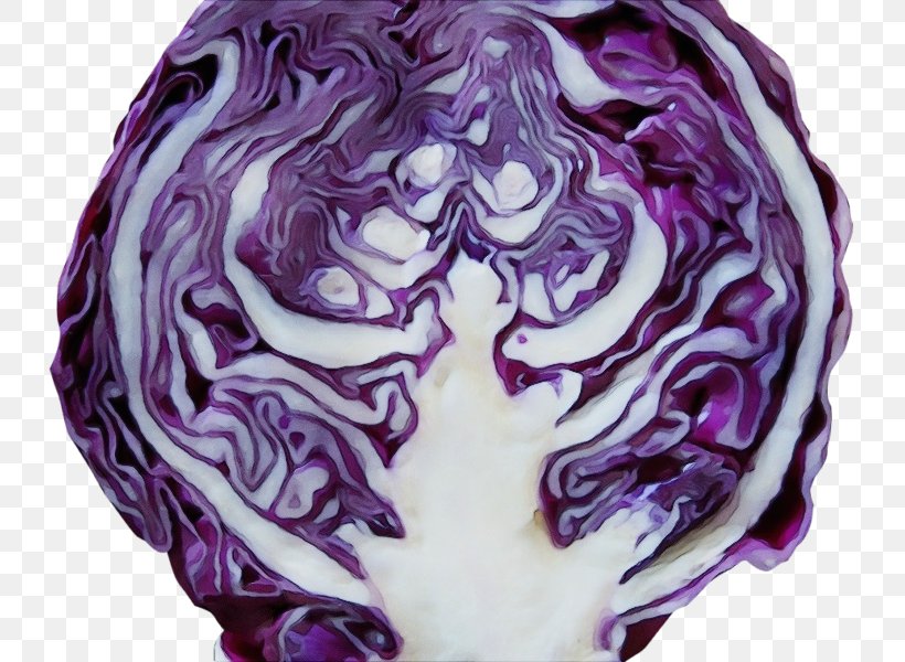 Red Cabbage Cabbage Purple Violet Vegetable, PNG, 800x600px, Watercolor, Cabbage, Food, Leaf Vegetable, Paint Download Free