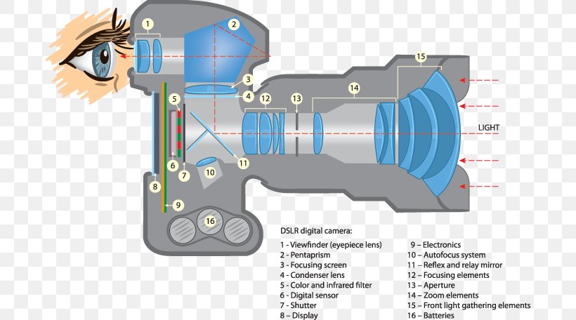 Digital SLR Digital Cameras Single-lens Reflex Camera Photography, PNG, 690x456px, Digital Slr, Camera, Camera Lens, Diagram, Digital Cameras Download Free