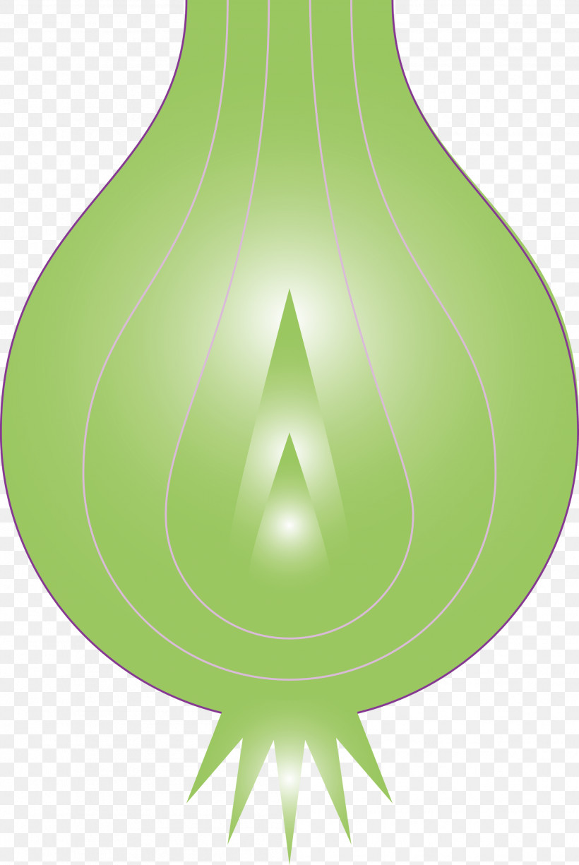 Onion, PNG, 2007x3000px, Onion, Green, Plant, Symbol Download Free