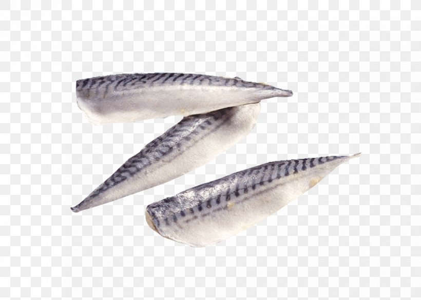 Pacific Saury Fish Fillet Seafood Mackerel, PNG, 827x591px, Pacific Saury, Anchovy, Animal Source Foods, Atlantic Mackerel, Bony Fish Download Free