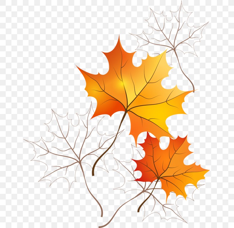 Picture Frames Autumn Leaf Color Desktop Wallpaper, PNG, 655x800px, Picture Frames, Autumn, Autumn Leaf Color, Branch, Color Download Free