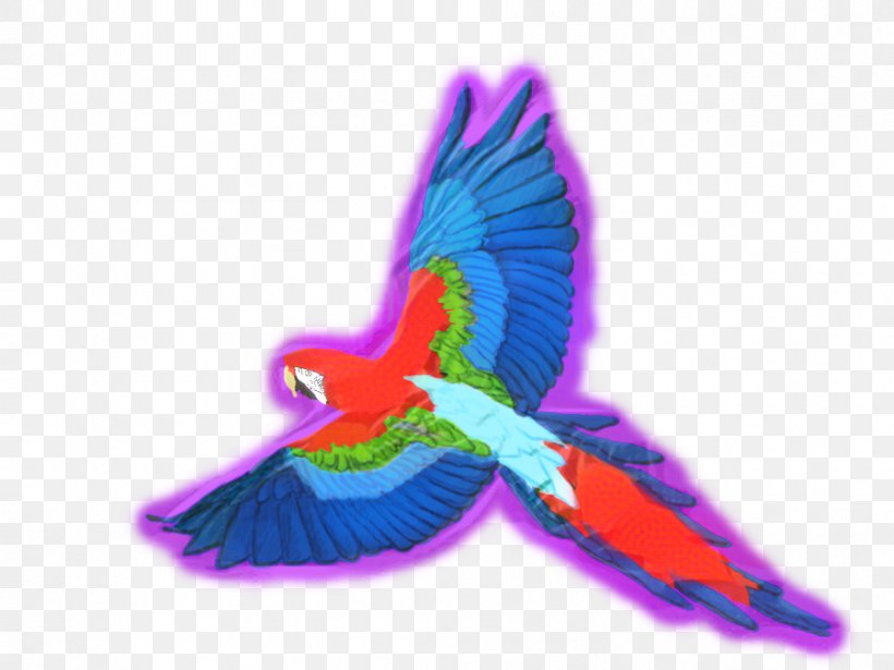 Bird Parrot, PNG, 899x675px, Macaw, Beak, Bird, Feather, Hummingbird Download Free