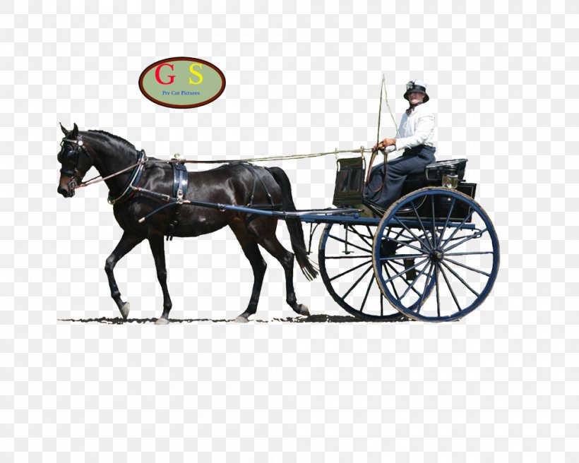 Horse Harnesses Horse And Buggy Stallion Chariot, PNG, 1000x800px, Horse Harnesses, Bit, Bridle, Carriage, Cart Download Free