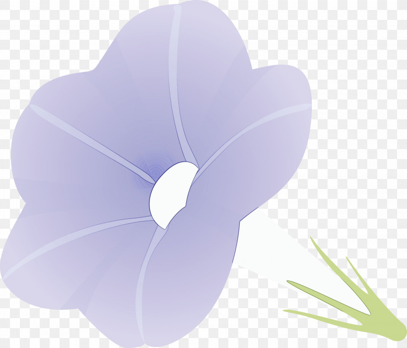 Lavender, PNG, 3000x2562px, Morning Glory Flower, Anthurium, Flower, Lavender, Morning Glory Download Free