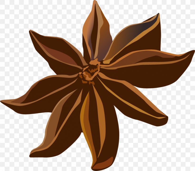 Spice Star Anise Condiment, PNG, 1001x877px, Spice, Anise, Cinnamon, Condiment, Cooking Download Free