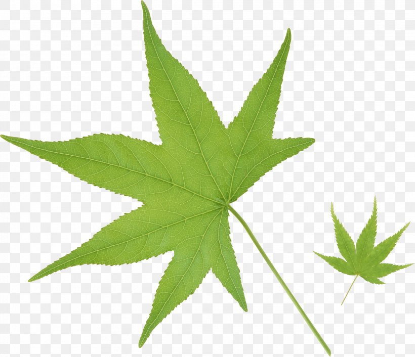 Cannabis Leaf No, PNG, 2284x1967px, Leaf, Cannabis, Cannabis Leaf, Cannabis Sativa, Green Download Free