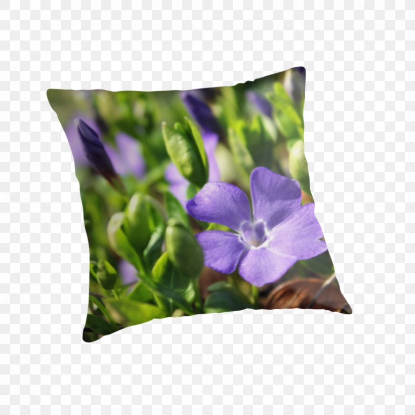 Cushion Throw Pillows, PNG, 875x875px, Cushion, Flower, Flowering Plant, Pillow, Plant Download Free