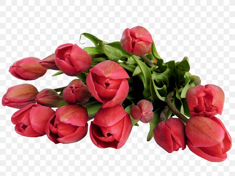 Flower Bouquet Tulip Clip Art, PNG, 1024x768px, Flower Bouquet, Artificial Flower, Birth Flower, Bride, Bud Download Free